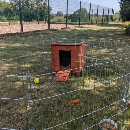 Rabbit hut